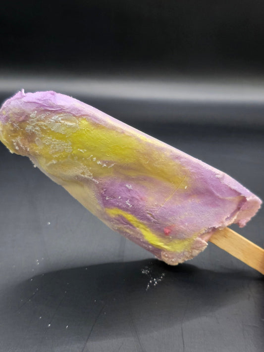 Freeze Dried Rainbow Paddlepop 2 pack - SubZero Sweets